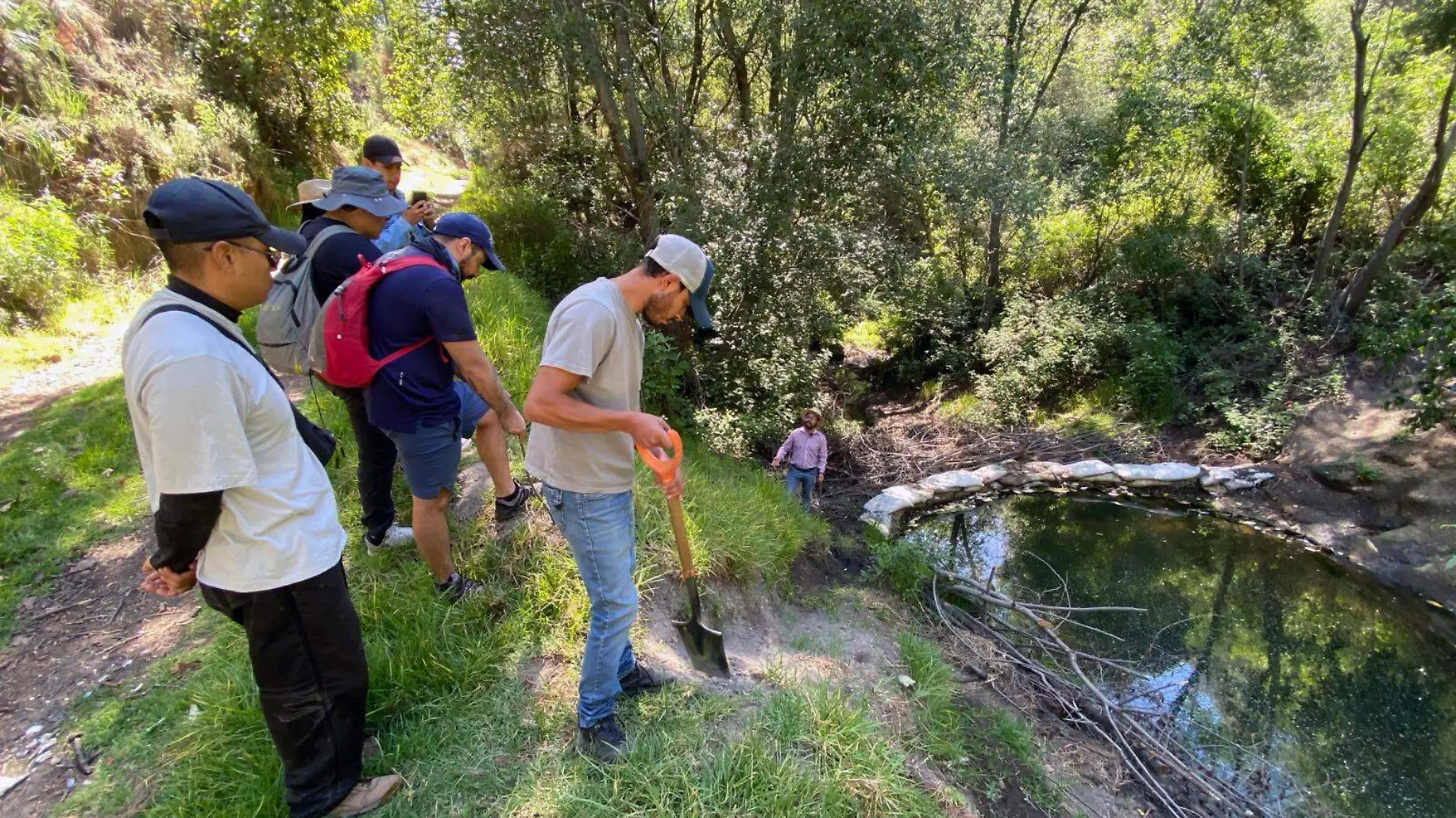 reforestar 3 julio